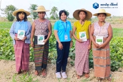 Distribution of Mungbean Seed Production and Pest Prevention Note