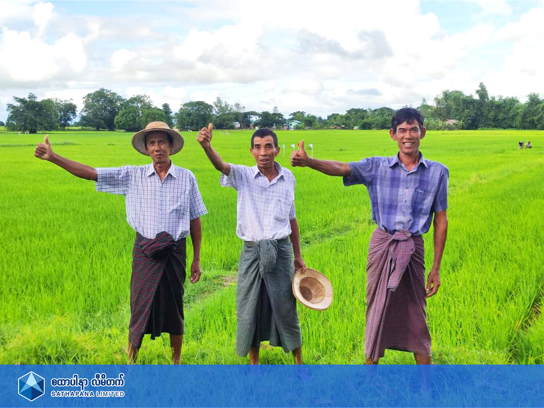 Read more about the article Rice Cultivation in Monsoon